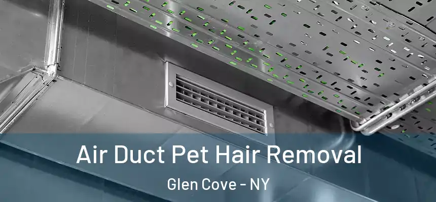 Air Duct Pet Hair Removal Glen Cove - NY