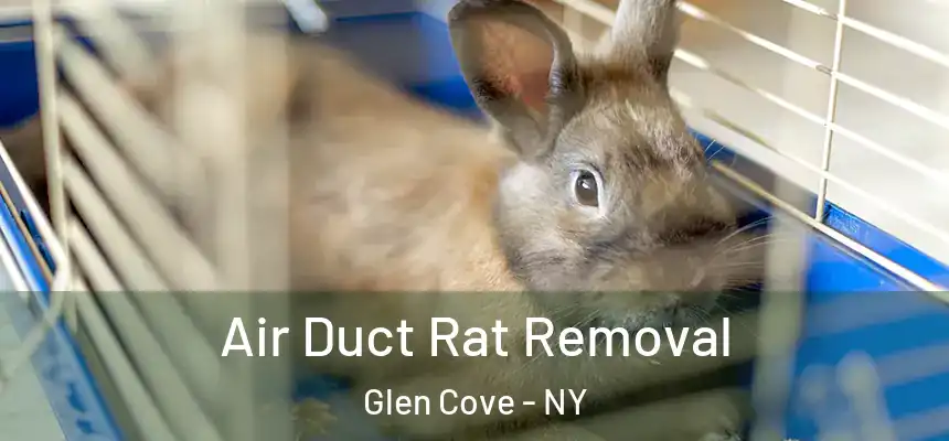 Air Duct Rat Removal Glen Cove - NY