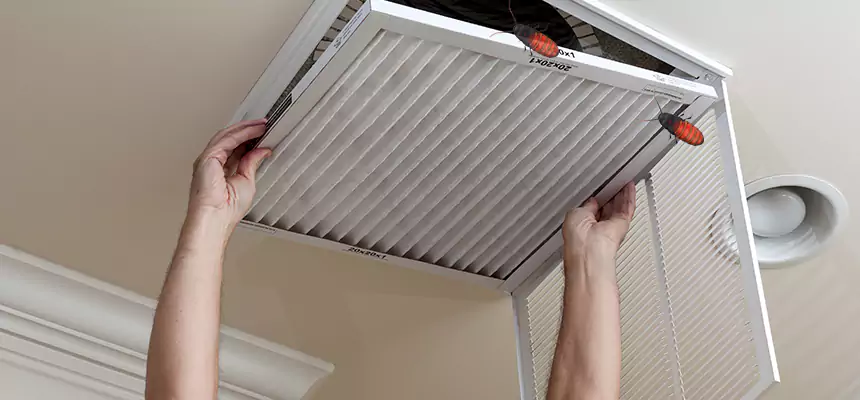 Preventive Cockroach-Proofing for Ducts in Glen Cove