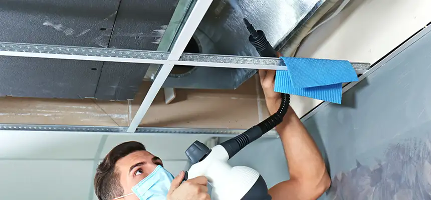 Our Air Duct Rodent Removal Services in Glen Cove, NY