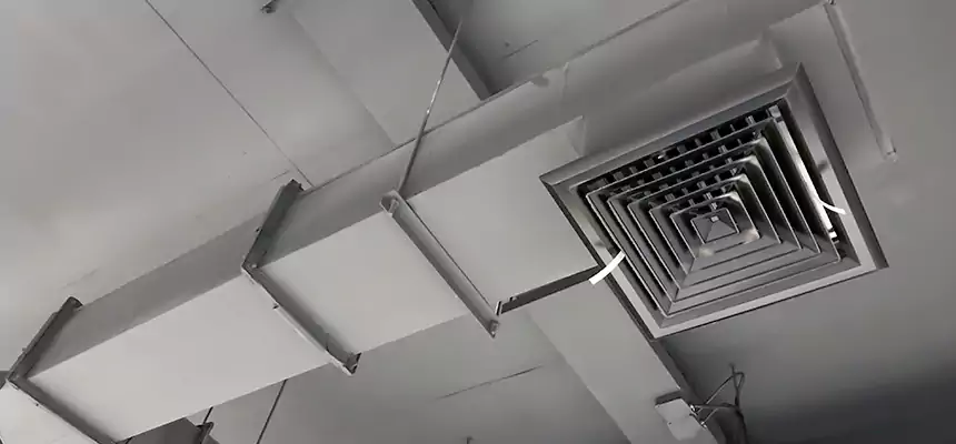 Our Rodent Droppings In Vents Services in Glen Cove, NY