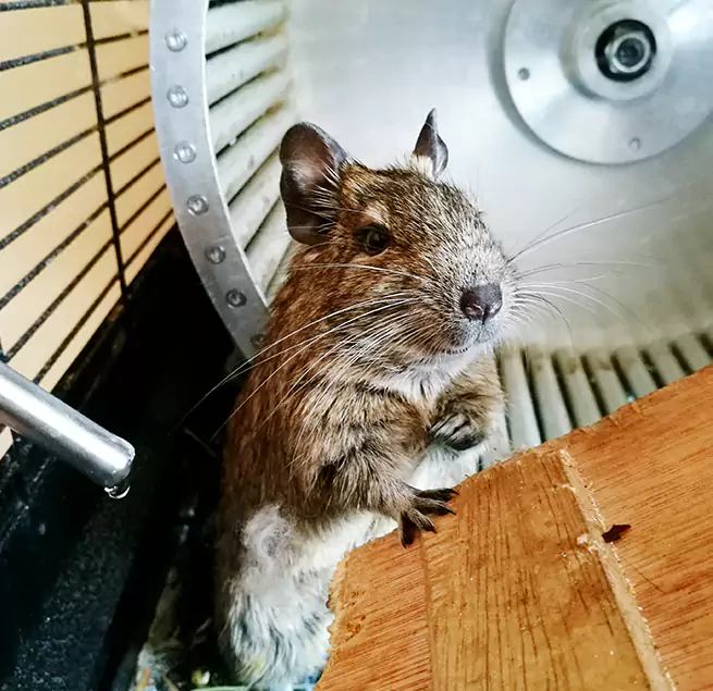 Why Homeowners & Businesses Trust Us Glen Cove, NY?