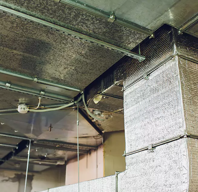 Why Homeowners & Businesses Trust Us in Glen Cove, NY?